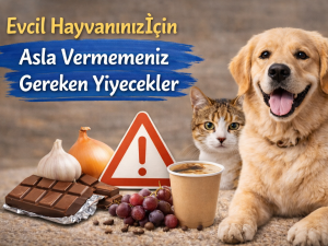 Evcil Hayvanınız İçin Asla Vermemeniz Gereken Yiyecekler